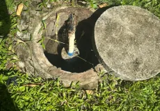 Esquema clandestino de comércio de água é desarticulado em Porto Seguro