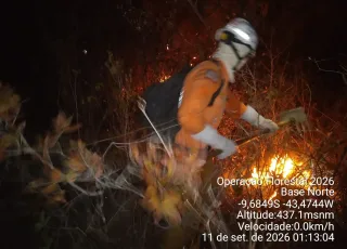 Estado da Bahia intensifica combate a incêndio florestal e protege comunidades no Norte baiano