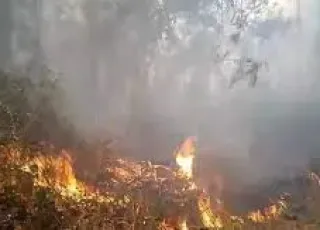 Estado envia bombeiros e aeronaves para unir esforços no combate ao incêndio no Parque Nacional do Monte Pascoal