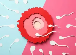 Estamos cada vez mais perto de ter um anticoncepcional masculino? Entenda 