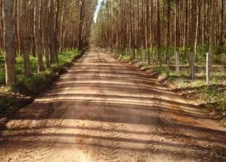 Estradas rurais tem serviço de patrolamento realizado pela Secretaria de Agricultura
