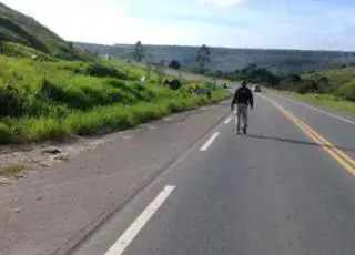 Eunápolis: PRF retira animais soltos na rodovia para evitar acidentes na BR 101