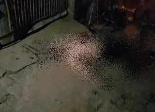 Ex vereador de Itanhém  é executado na porta de casa