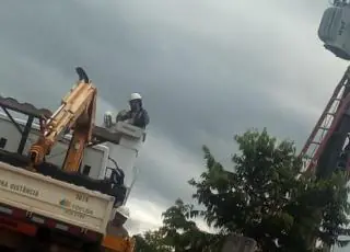 Fazenda de café do Prado é alvo de ação da Polícia Civil por furto de energia elétrica
