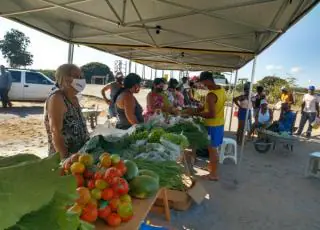 Feira orgânica de Rancho Alegre traz melhoria de vida para pequenos agricultores