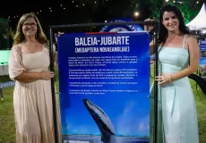 5º Festival da Baleia 2025 atrai multidão e impulsiona o turismo com a 1ª Feira Gastronômica de Nova Viçosa