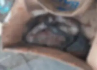 Feto humano é encontrado por recicladora em lixão de Medeiros Neto