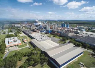 Fibria encerra terceiro trimestre com o melhor resultado de sua história