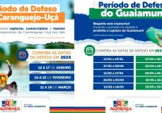 Fique atento! Prefeitura de Alcobaça informa sobre o período do defeso do Caranguejo-Uçá e do Guaiamum