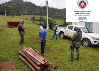Fiscalização realiza ação conjunta de combate à extração ilegal de madeira no município de Barro Preto