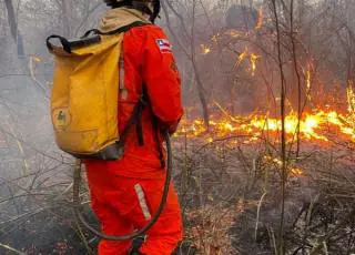 Força-tarefa do Governo do Estado e brigadistas controlam incêndio em Lençóis