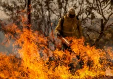 Fumaça de Incêndios se espalha pelo Brasil e ameaça chegar à Argentina e Uruguai