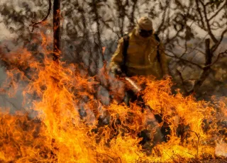 Fumaça de Incêndios se espalha pelo Brasil e ameaça chegar à Argentina e Uruguai