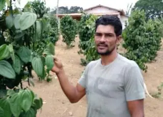 Funcionário de fazenda é executado no interior de Itabela