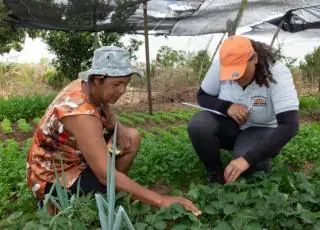 Governo do Estado auxilia famílias de agricultores atingidos pelas chuvas