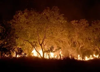 Governo Federal institui novas multas para quem provocar incêndios florestais