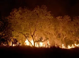 Governo Federal institui novas multas para quem provocar incêndios florestais