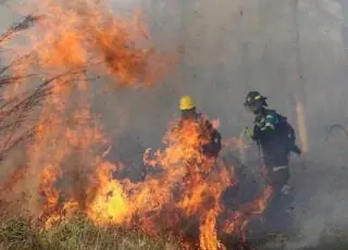 Governo investe R$ 6,7 milhões em ações contra incêndios florestais na Bahia