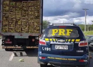 Grande carregamento de cigarros contrabandeados avaliado em mais de 1 milhão de reais é apreendido pela PRF em Jequié
