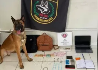 Grupamento de Operações com Cães do 8º BPM realiza apreensão de drogas em Porto Seguro