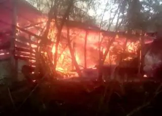 Homem coloca fogo em casa de marimbondo e fogo se alastra incendiando serraria, em Medeiros Neto. Veja vídeos