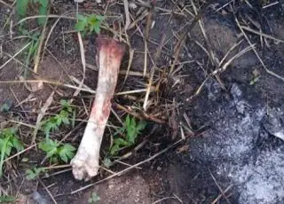 Homem é brutalmente assassinado com osso de boi em Itamaraju