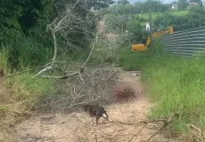 Homem é brutalmente atacado com golpes de facões no bairro irmã Dulce