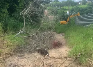 Homem é brutalmente atacado com golpes de facões no bairro irmã Dulce