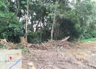 Homem é detido por policiais da CIPPA/PS  por desmatamento e extração de minério na Bahia