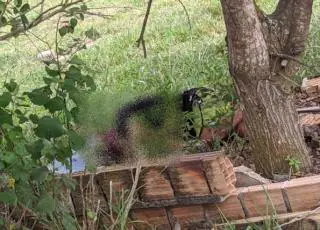 Homem é morto a tiros no Nova Jerusalém em Teixeira de Freitas