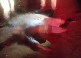 Homem é morto com um tiro em assentamento de Teixeira de Freitas