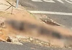 Homem é preso após atear fogo em cachorro da ex-esposa para causar sofrimento psicológico