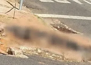Homem é preso após atear fogo em cachorro da ex-esposa para causar sofrimento psicológico