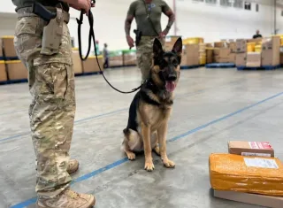 Homem é preso com drogas e munições ao retirar encomenda nos Correios em Itabuna