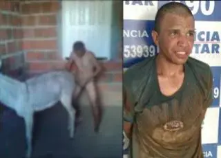 Homem é preso em flagrante por estupro de jumentas