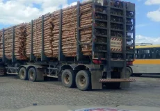 Homem é preso por furto de madeira em Itamaraju