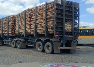 Homem é preso por furto de madeira em Itamaraju