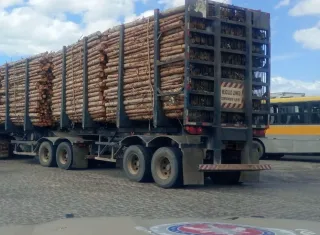 Homem é preso por furto de madeira em Itamaraju