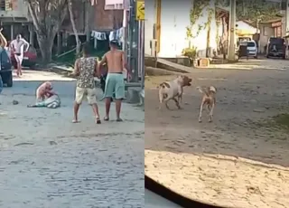 Homem fica ferido após ser atacado na rua por cão da raça pitbull, no interior da Bahia
