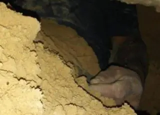 Homem fica preso em buraco que cavou para espionar ex-mulher