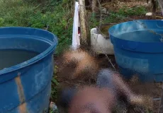 Homem morre eletrocutado ao tentar salvar cachorro preso em cerca energizada na zona rural de Itabela