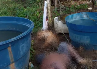 Homem morre eletrocutado ao tentar salvar cachorro preso em cerca energizada na zona rural de Itabela