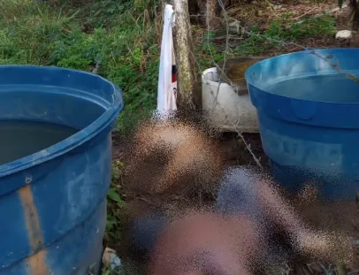 Homem morre eletrocutado ao tentar salvar cachorro preso em cerca energizada na zona rural de Itabela