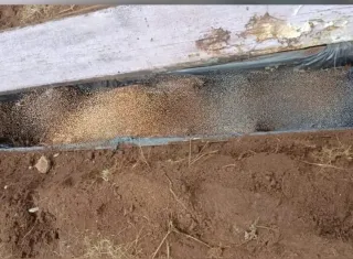 Homem vai fazer horta no quintal e encontra caixão com ossada enterrada