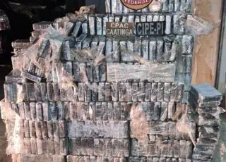 Quase uma tonelada de cocaína é aprendida pela polícia na Bahia