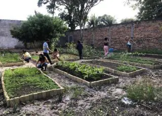 Horta comunitária fortalece alimentação de famílias em situação de risco e vulnerabilidade de Alcobaça