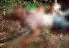 Idoso de 73 anos é morto a golpes de facão na zona rural de Jucuruçu