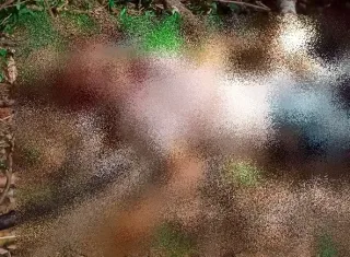 Idoso de 73 anos é morto a golpes de facão na zona rural de Jucuruçu