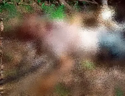 Idoso de 73 anos é morto a golpes de facão na zona rural de Jucuruçu