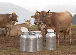 Inscrições para o programa de Fertilização in Vitro seguem até dia 28 de março
